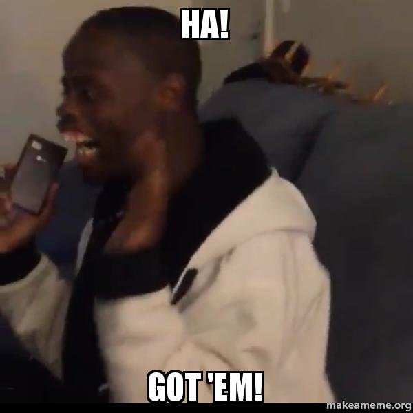 ha-got-em-6p1ept.jpg