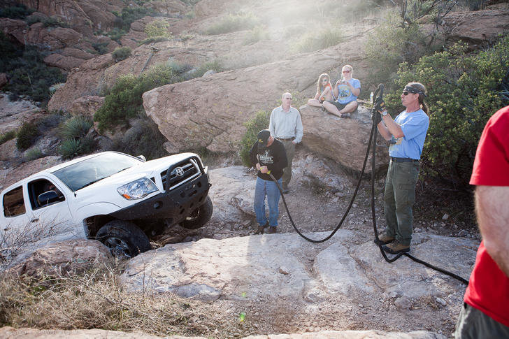 Hackberry rescue.jpg