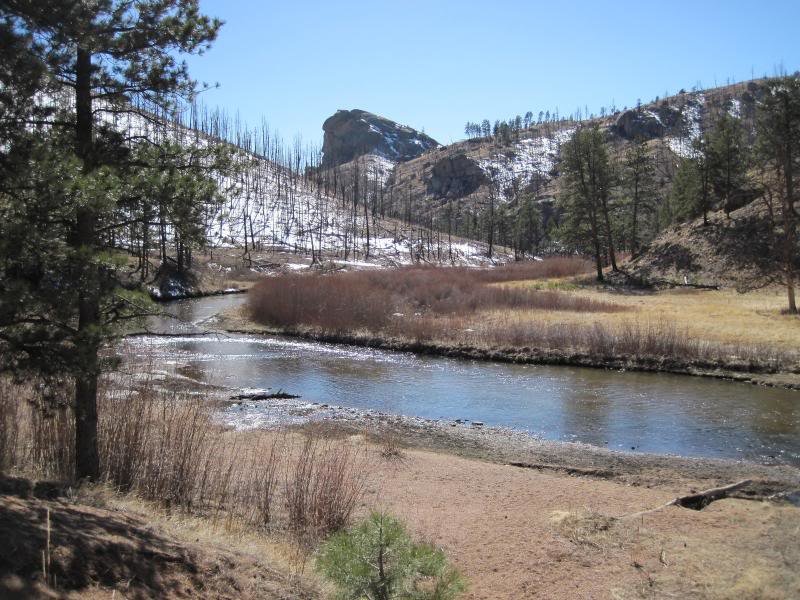 HackettGulch3-17-142_78fa73373931714feccac70672ccd2a64013b003.jpg