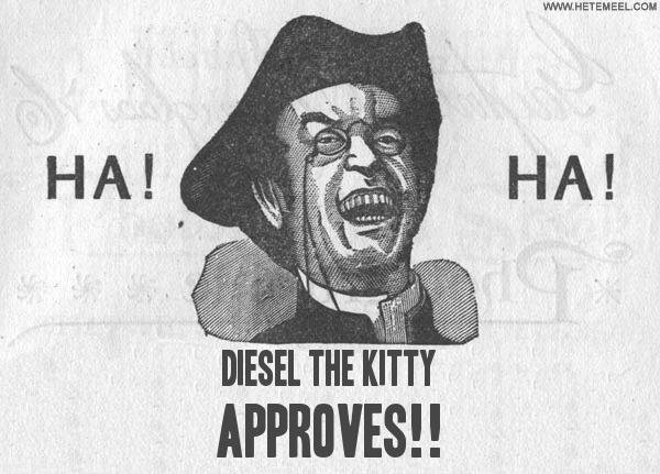 hahaDiesel+the+kitty APPROVES.jpg
