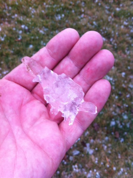 Hail 1.jpg