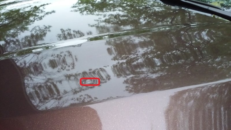 Hail Dent.jpg