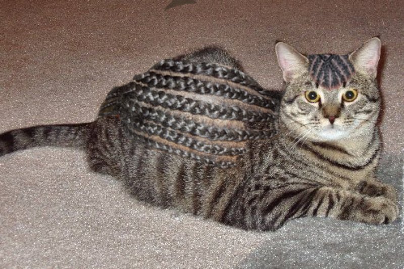 haircut-15.jpg