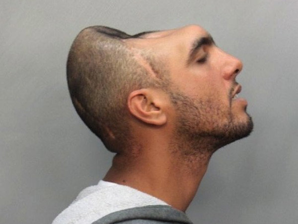 halfhead.jpg