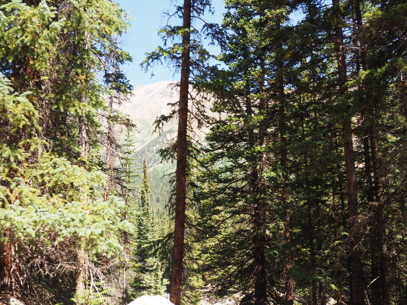 Halfmoon 065.jpg