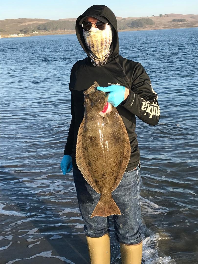 Halibut.jpg