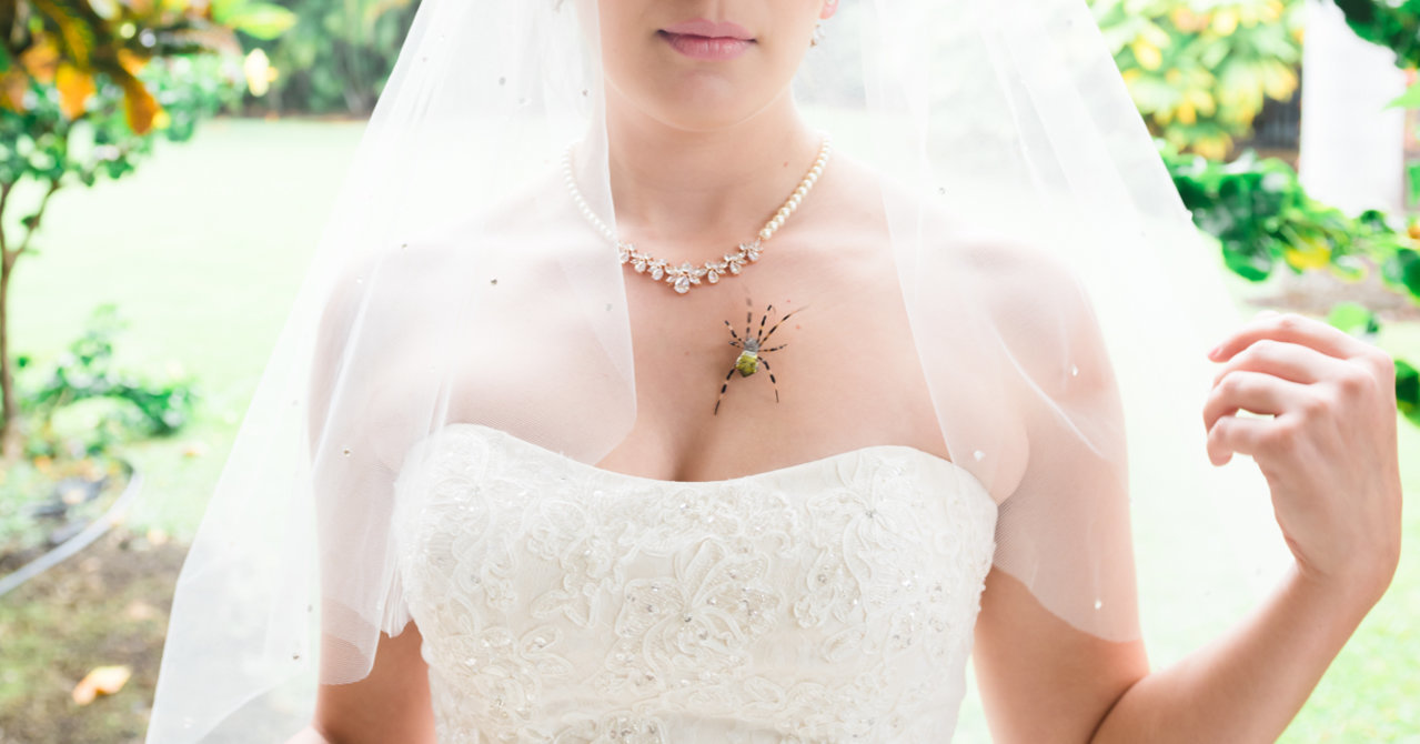 Halloween_Wedding_Photographer-102.jpg