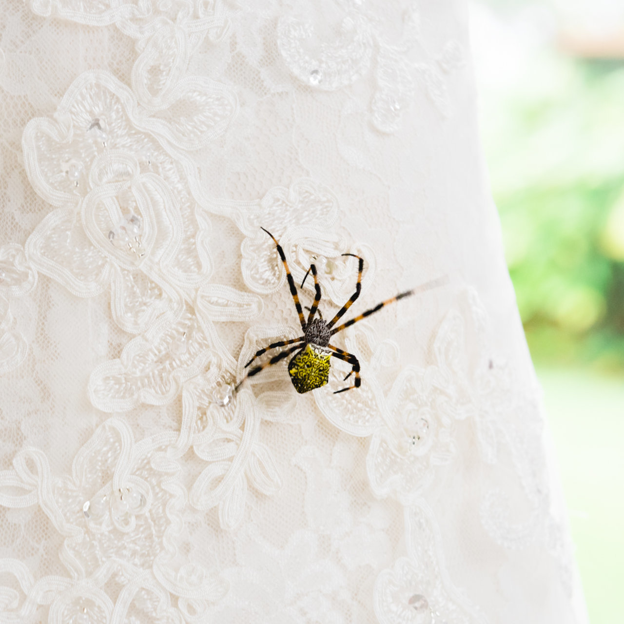 Halloween_Wedding_Photographer-103.jpg