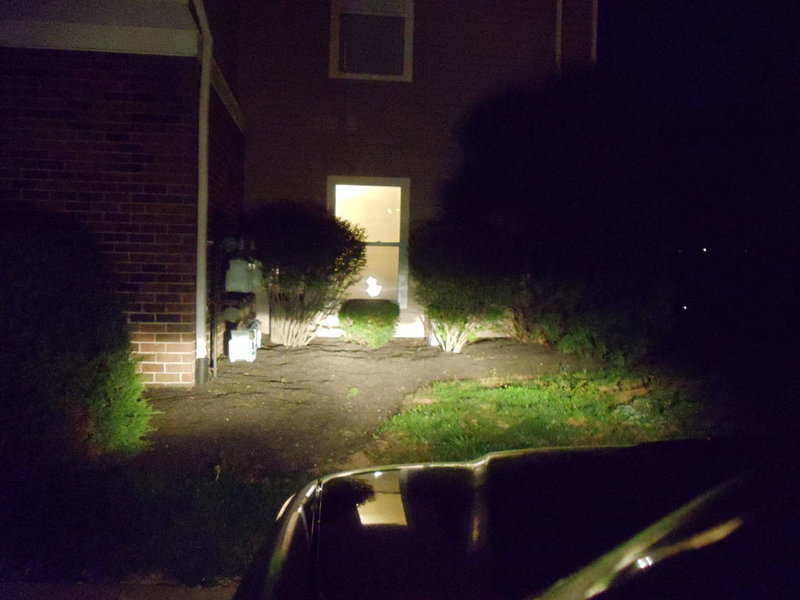 Halogen Low.jpg