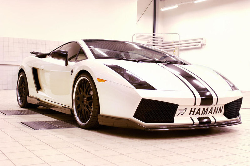 hamannse06_011600[1].jpg