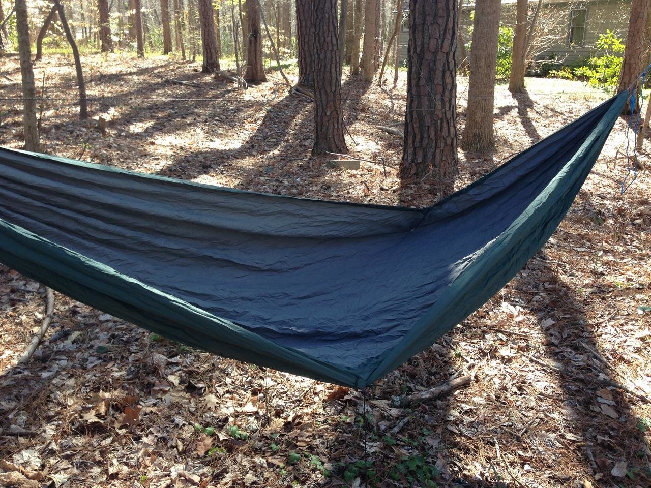 hammock 2.jpg