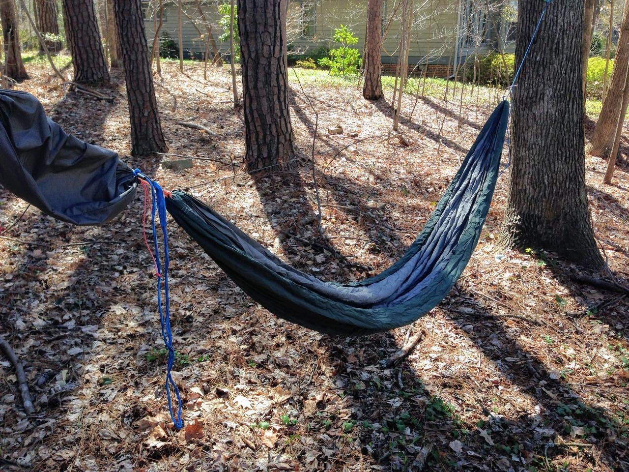 Hammock 5.jpg