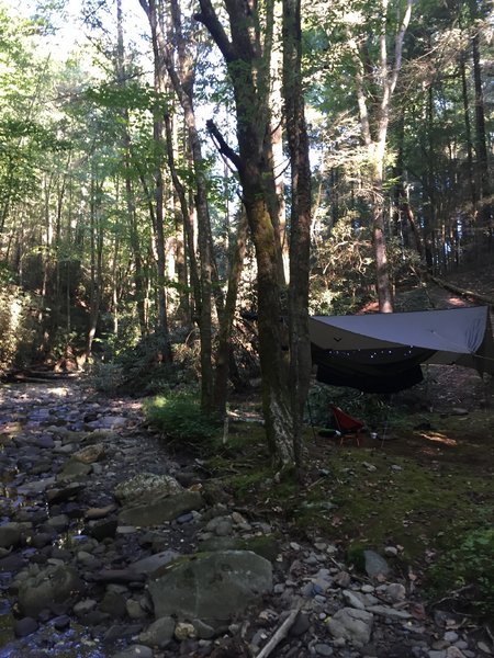 hammock.jpg