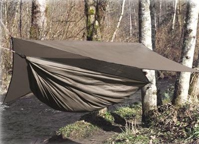 hammock.jpg