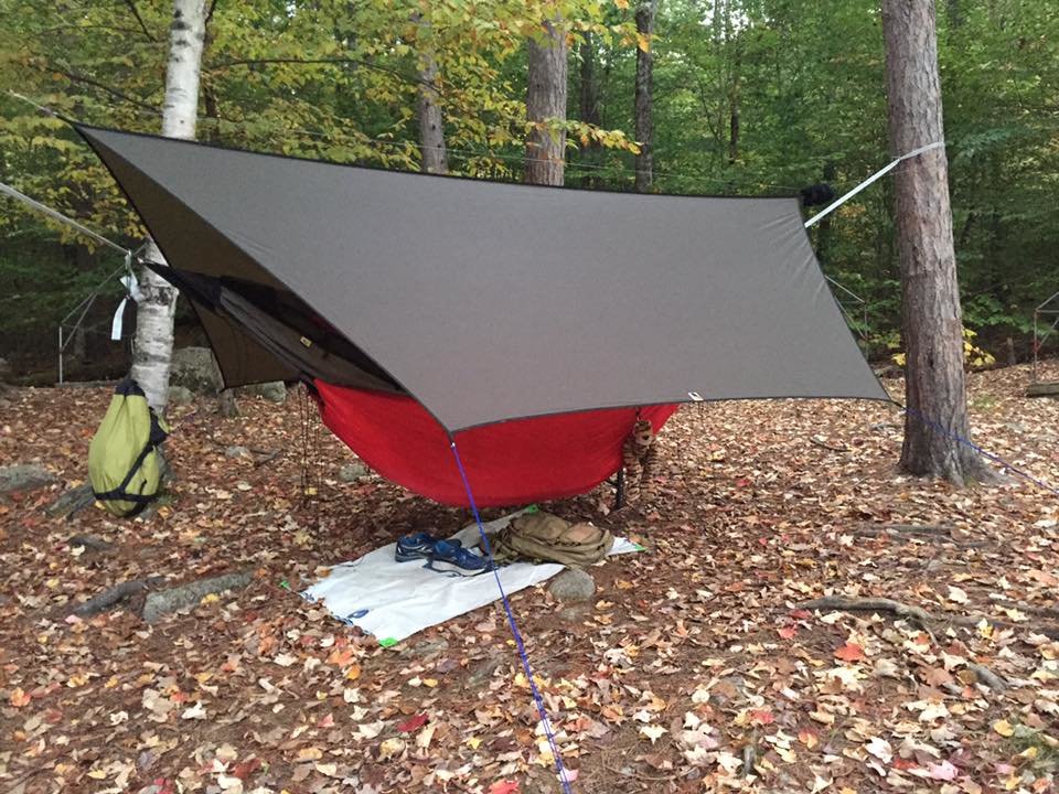 hammock.jpg