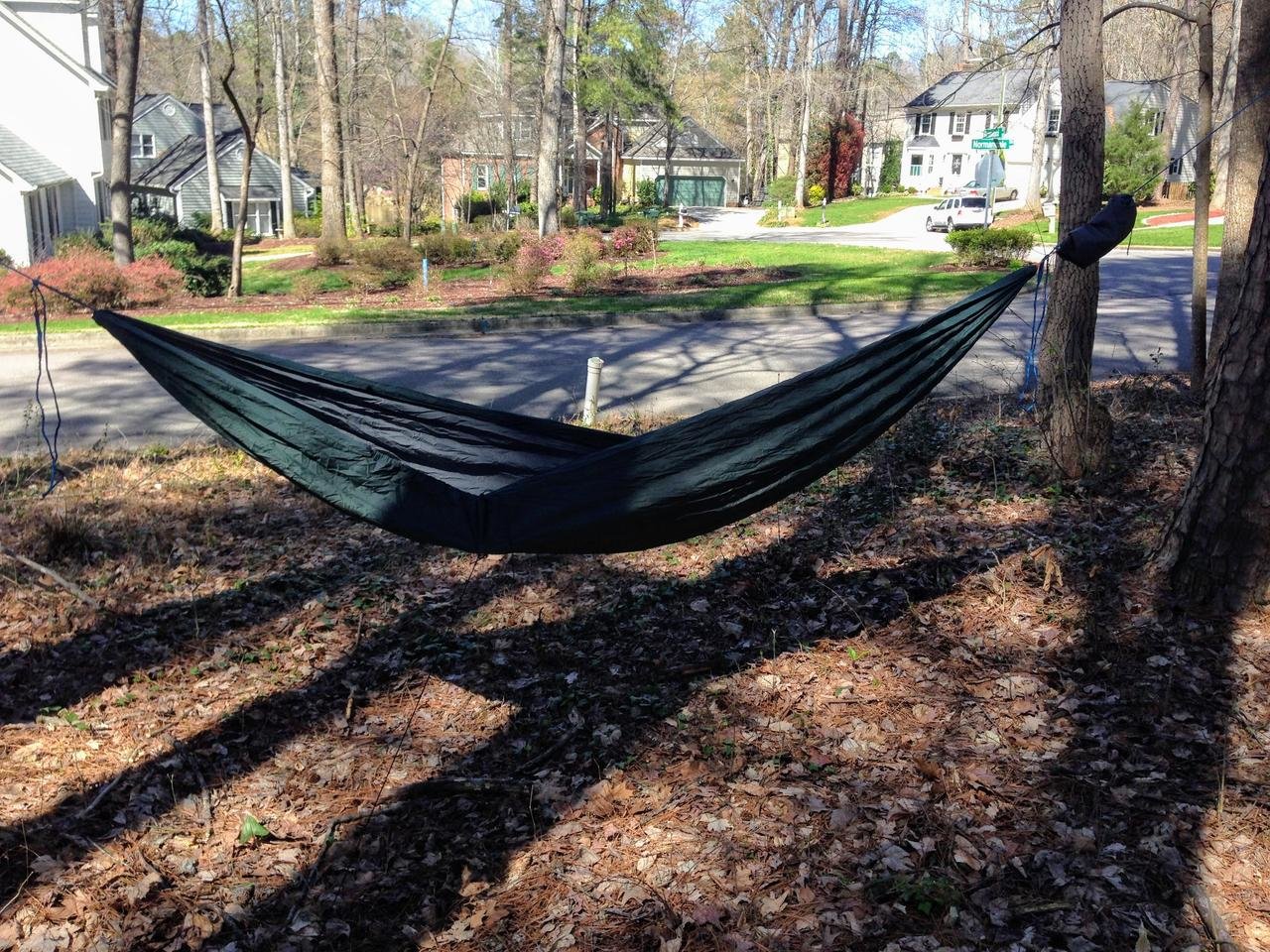 Hammock.jpg