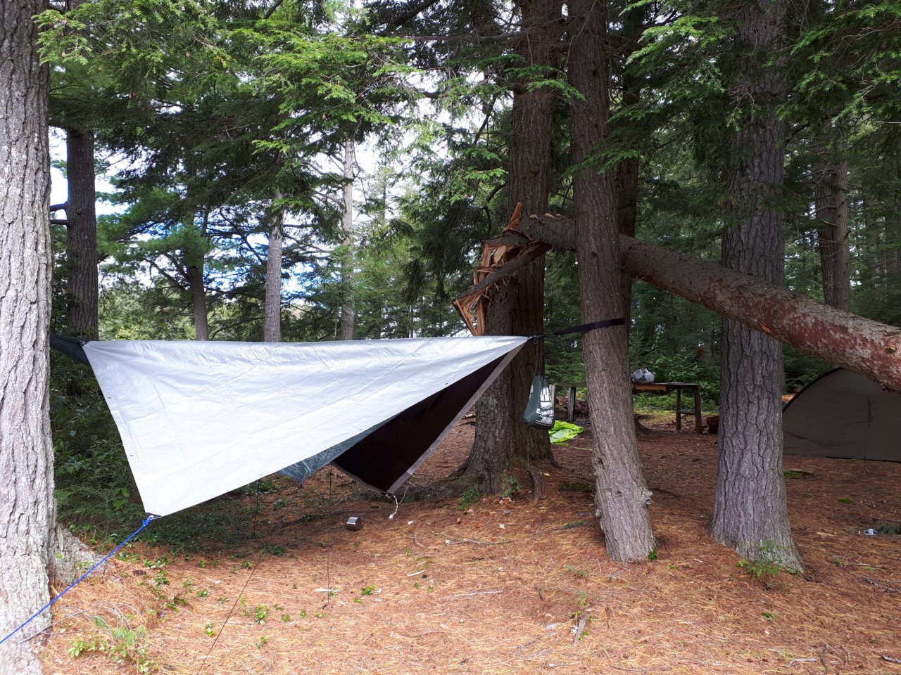 hammock.jpg