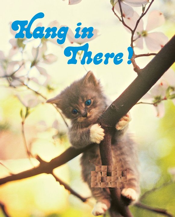 HANG IN THERE.jpg