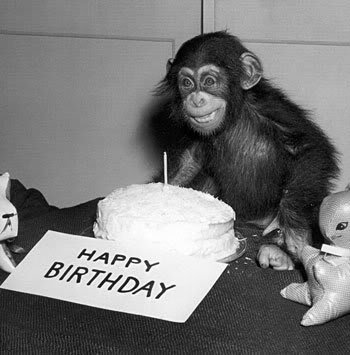 HappyBirthdayChimp_a7a4f58e33b188f58e04b8e331fbe3843c0392a9.jpg