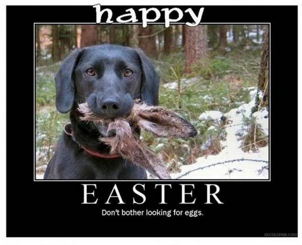 happyeaster_9f8b8bd5f1a55b80a1afa6282a4451b97287324e.jpg