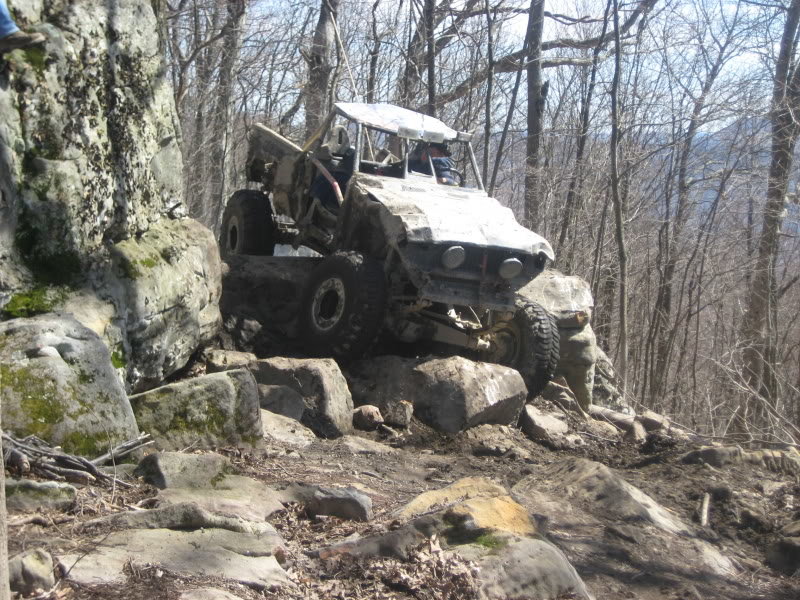 harlan113_e28c55403b0133ddd11dc563966e036026419c50.jpg