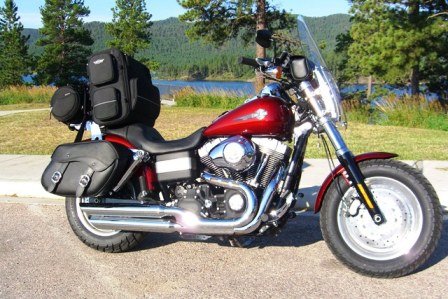 Harley Sturgissmall.jpg