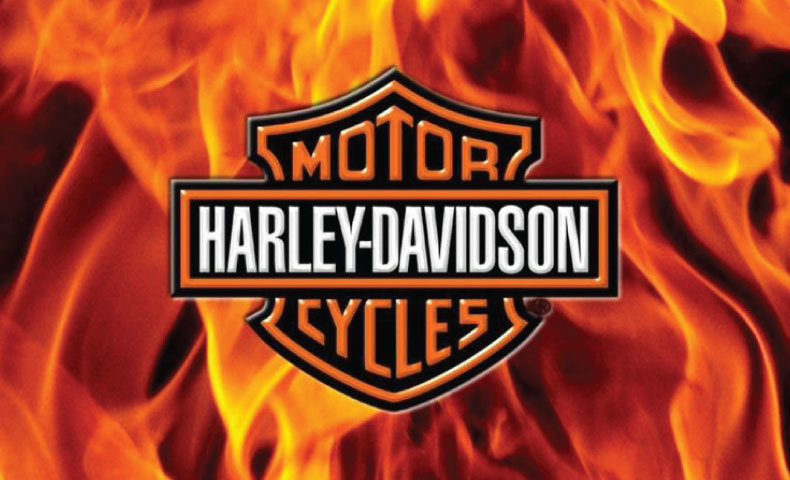 harley4.jpg