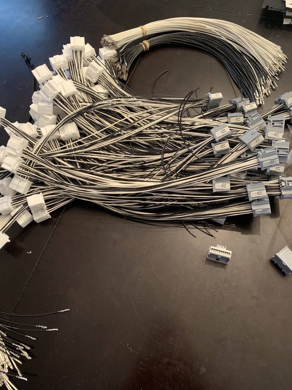 harness in progress.jpg