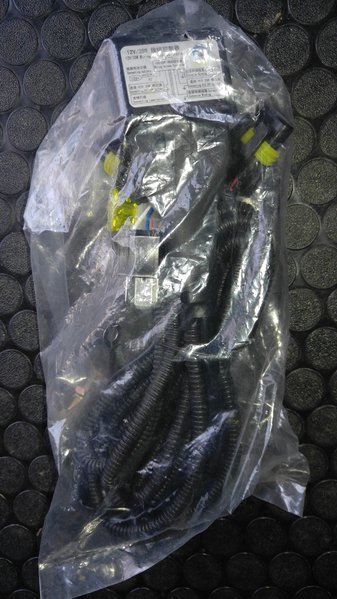 Harness.jpg