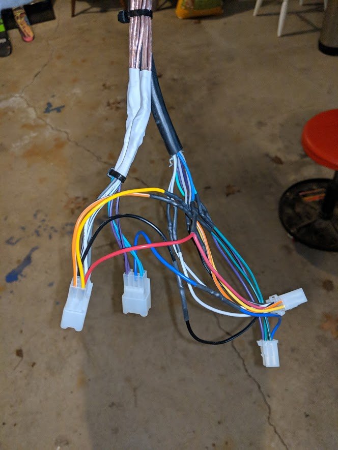 Harness.jpg