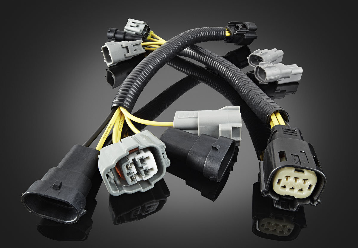 Harness.jpg