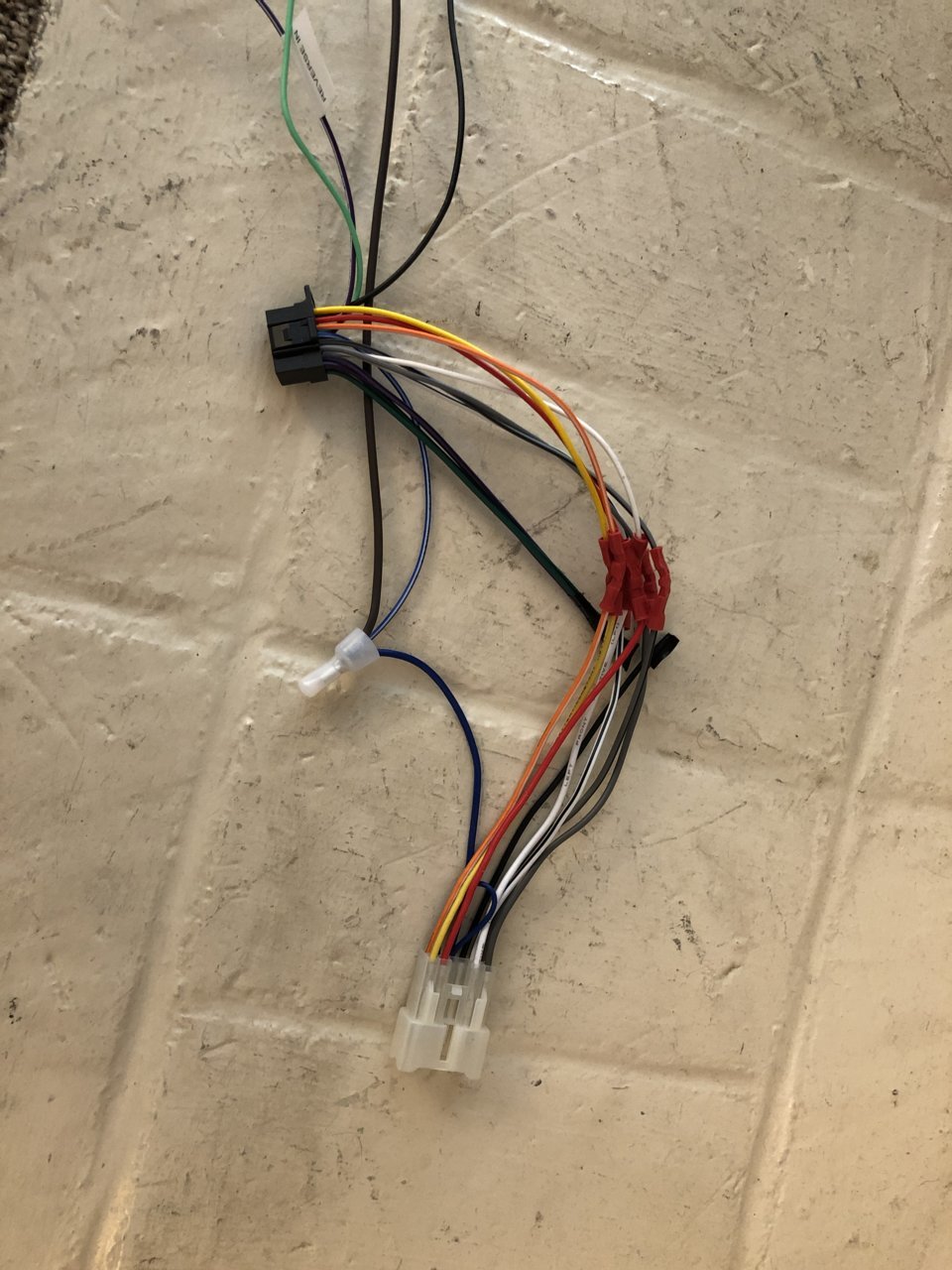 harness.jpg