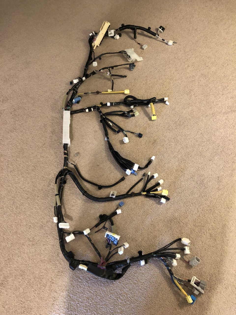 harness.jpg