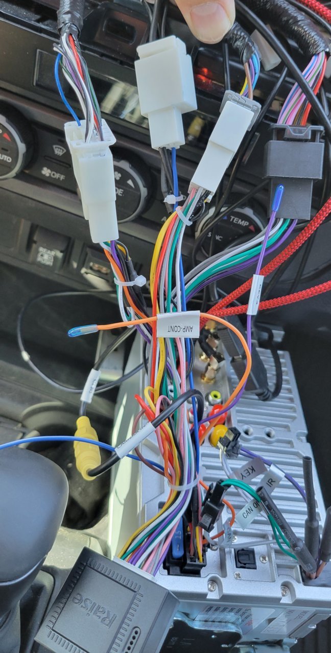 Harness1.jpg