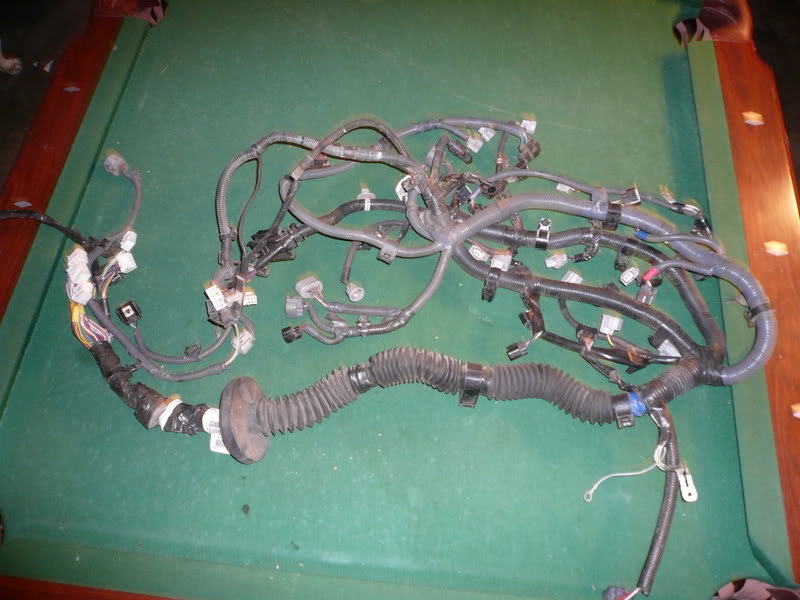 harness1_0162345f406ee2ee0b9fc7f9a8d9c28693afae2c.jpg