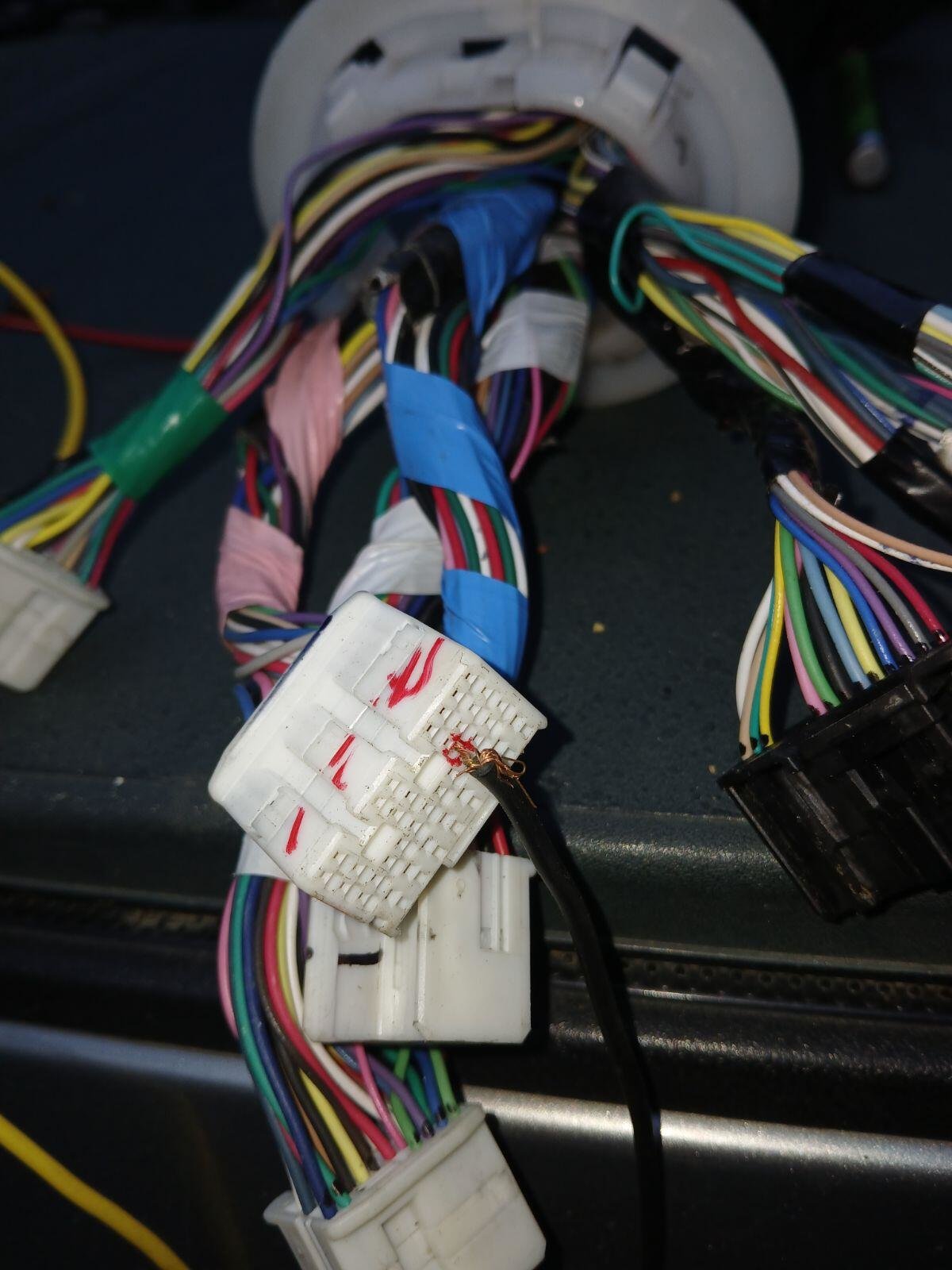 harness2.jpg