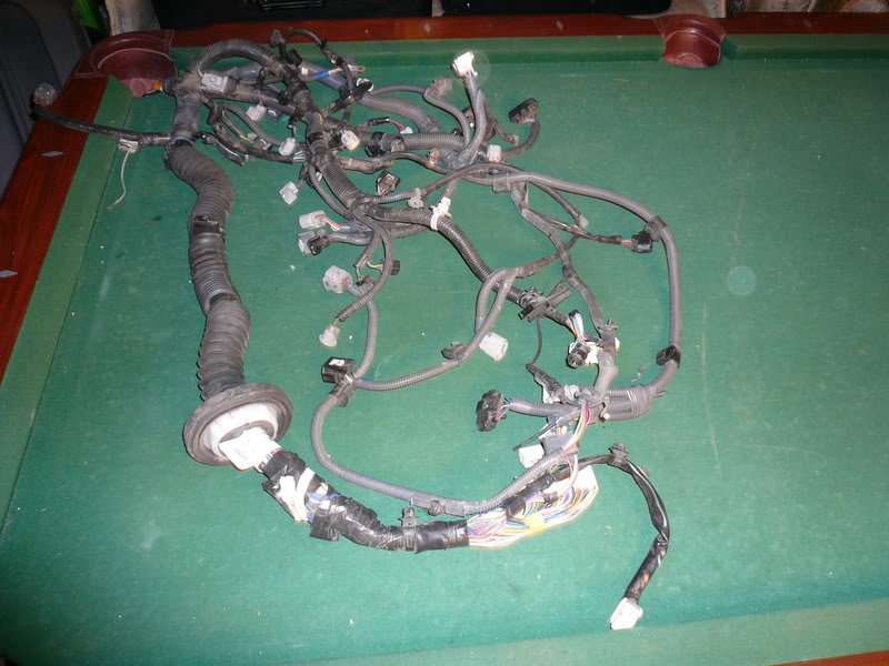 harness2_18daa458849f40ec3139cf2e5a0e26a7a02cbfa3.jpg