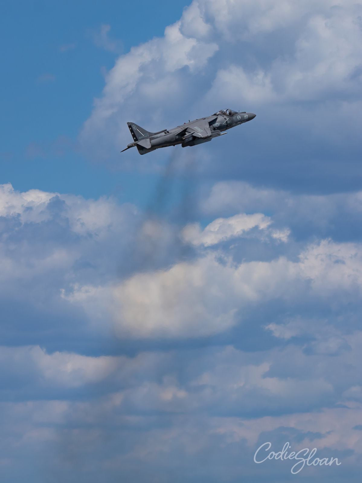 Harrier Demo 10.jpg