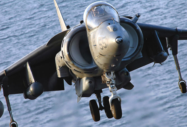harrier.jpg