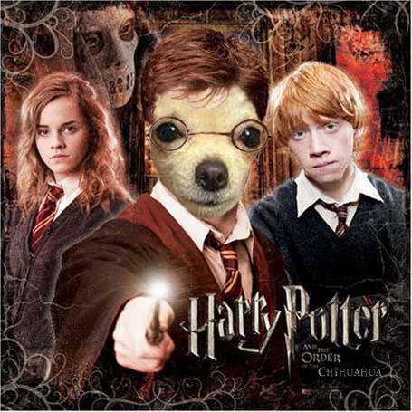 harry_potter_calendar_photo.jpg