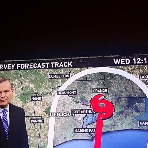harvey.jpg