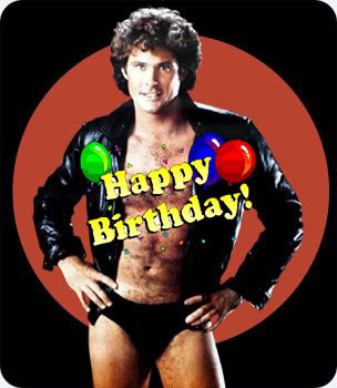 hasselhoff_birthday_9f87ede6cc12431c4b4485ea23f41025a98f458b.jpg