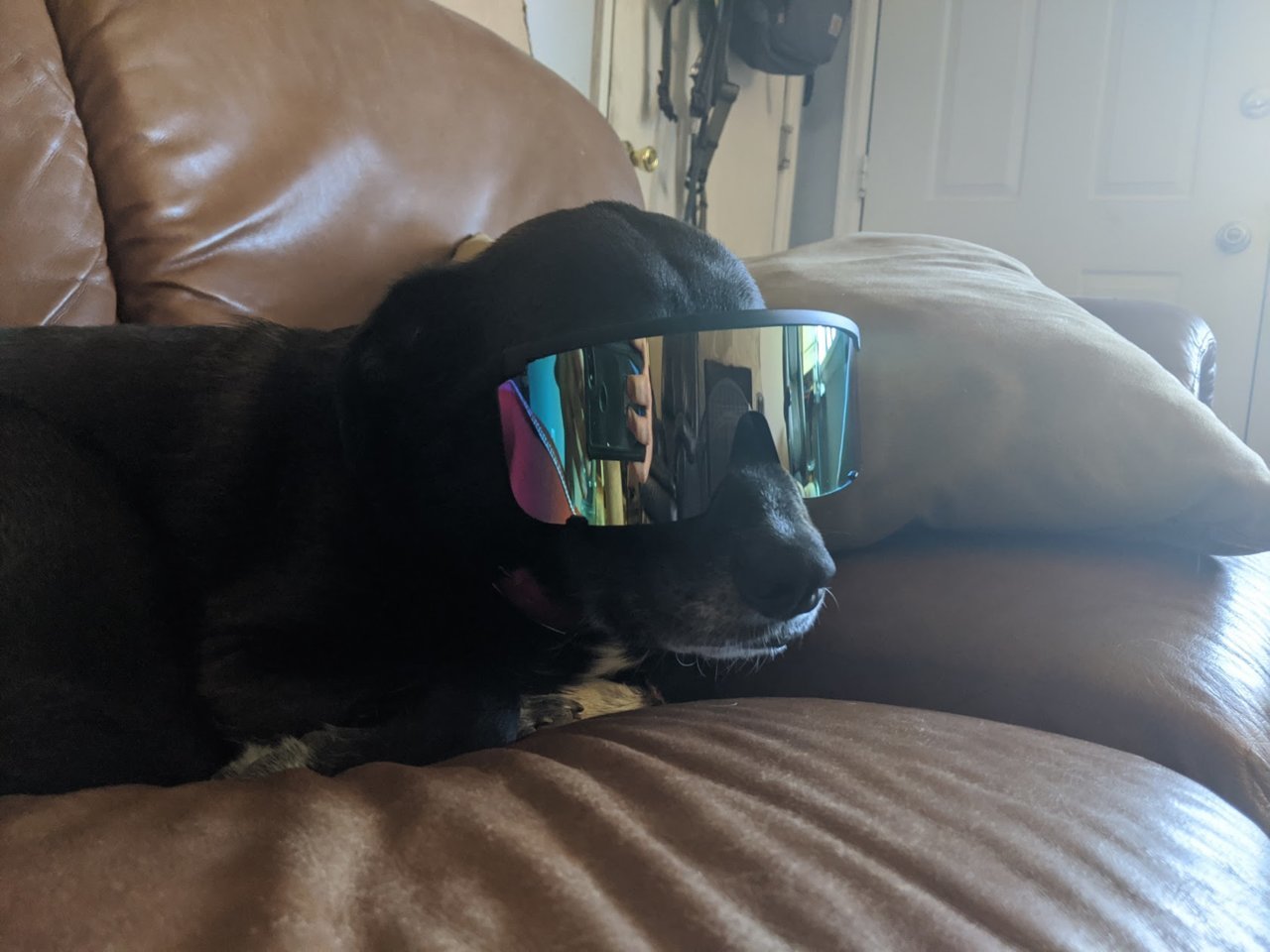 hater blockers.jpg