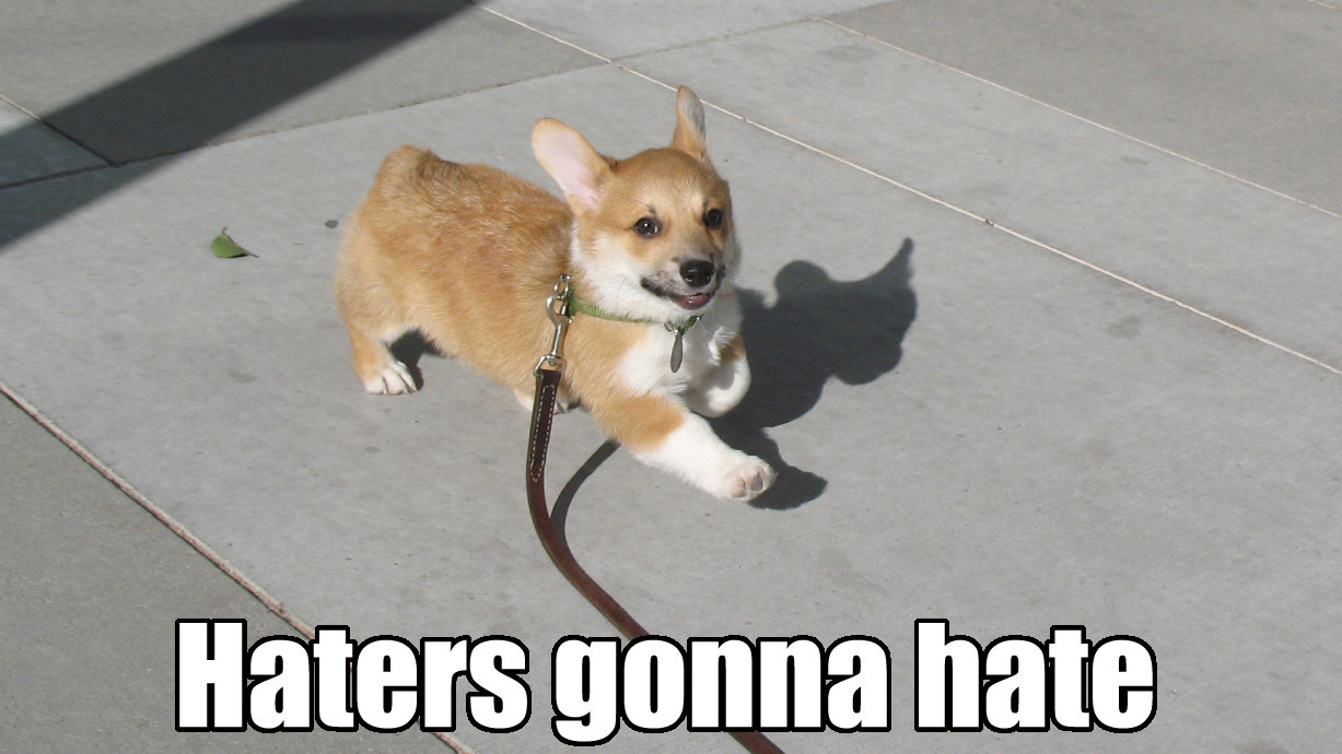 haters.jpg