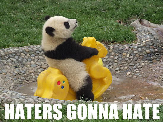 HatersGonnaHatePanda_11e8ddbcfd54e250b4b9a694cc4b06df609809c7.jpg