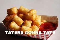 hatertater_604db680420c417f407cd37aa0f17095ca327200.jpg