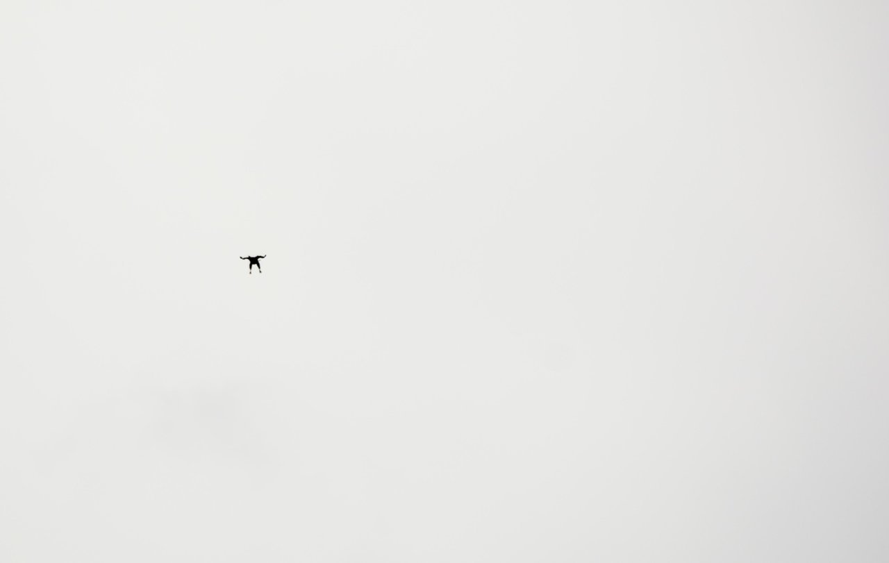 hawk (1 of 1).jpg