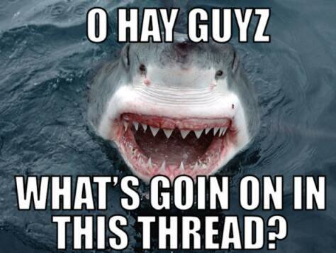 HayGuysWhatsGoingOnInThisThread_c63aaab43067a8df45112f1df948a1c8a2a3d5f7.jpg