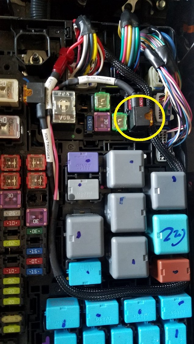 hbm.jpg