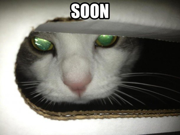 he-left-his-night-vision-goggles-turned-on-7105.jpg